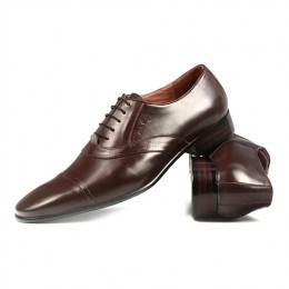 Men's Ferragamo Hickory Leather Ariston Oxfords