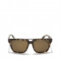 Men's Salvatore Ferragamo Sunglasses Online FS-A2248
