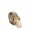 Women's Salvatore Ferragamo Medium Double Gancio Belt Sale SFS-UU232